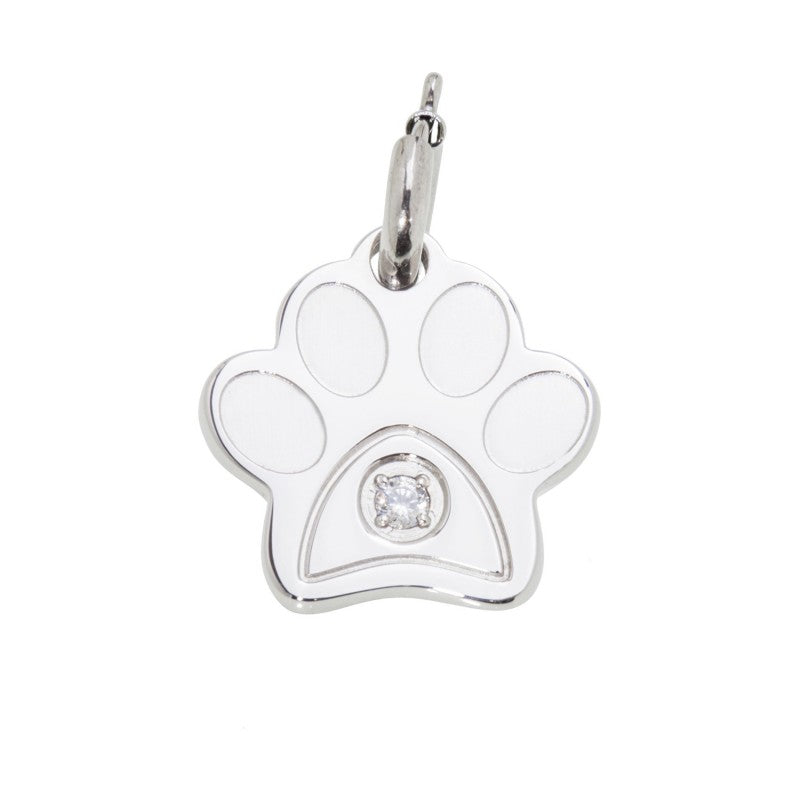 18ch036 Charm zampina con zircone