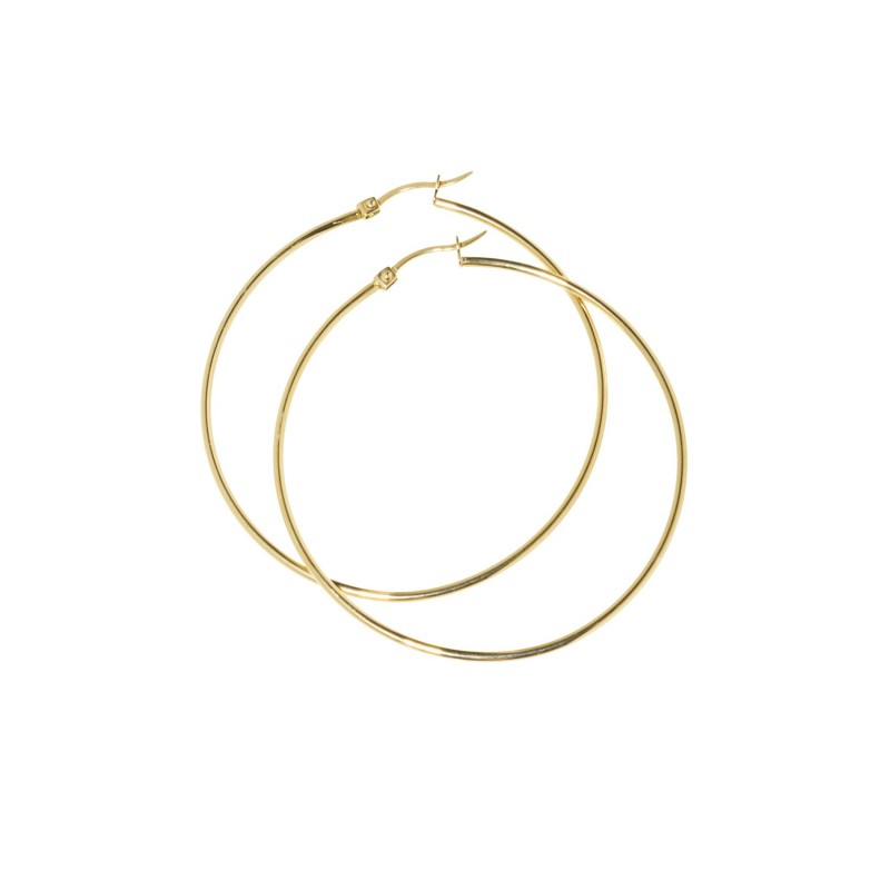 2or0031g Orecchini
